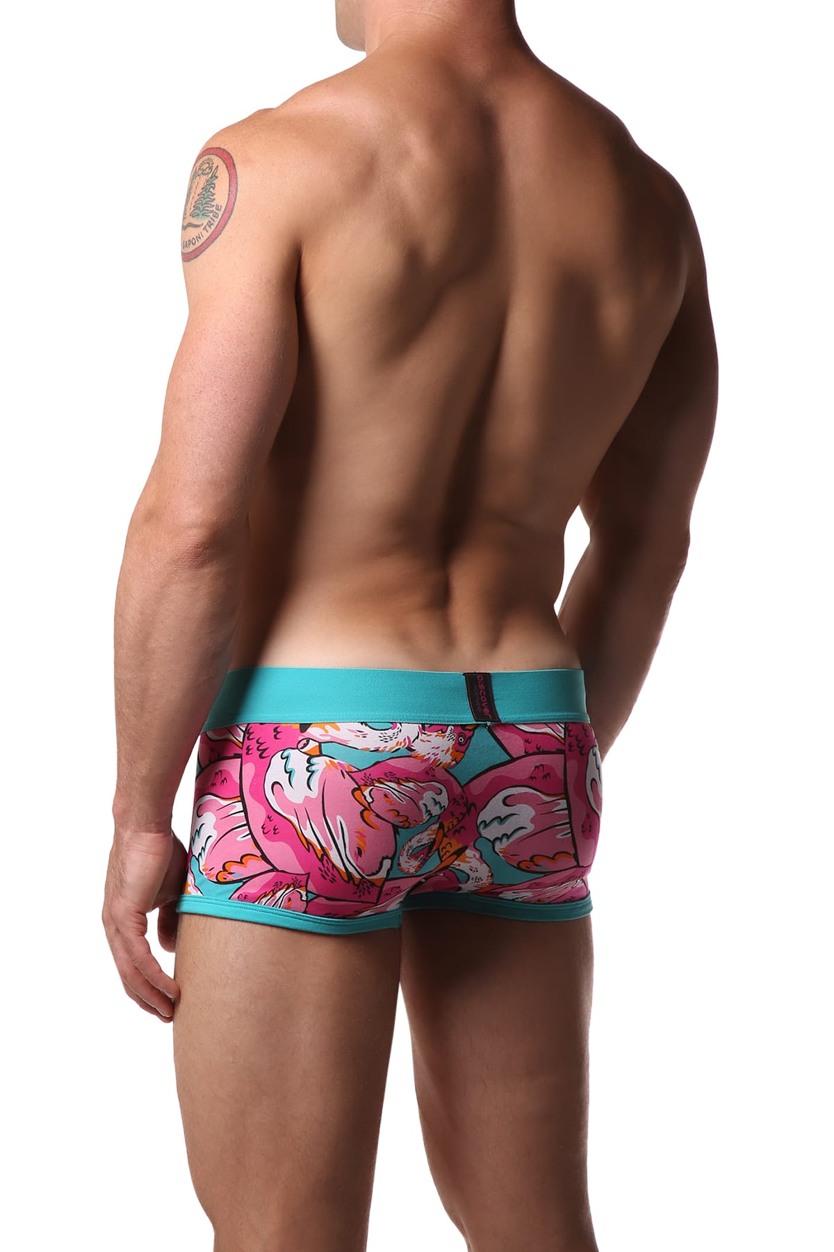 Discover Flamingo Trunk