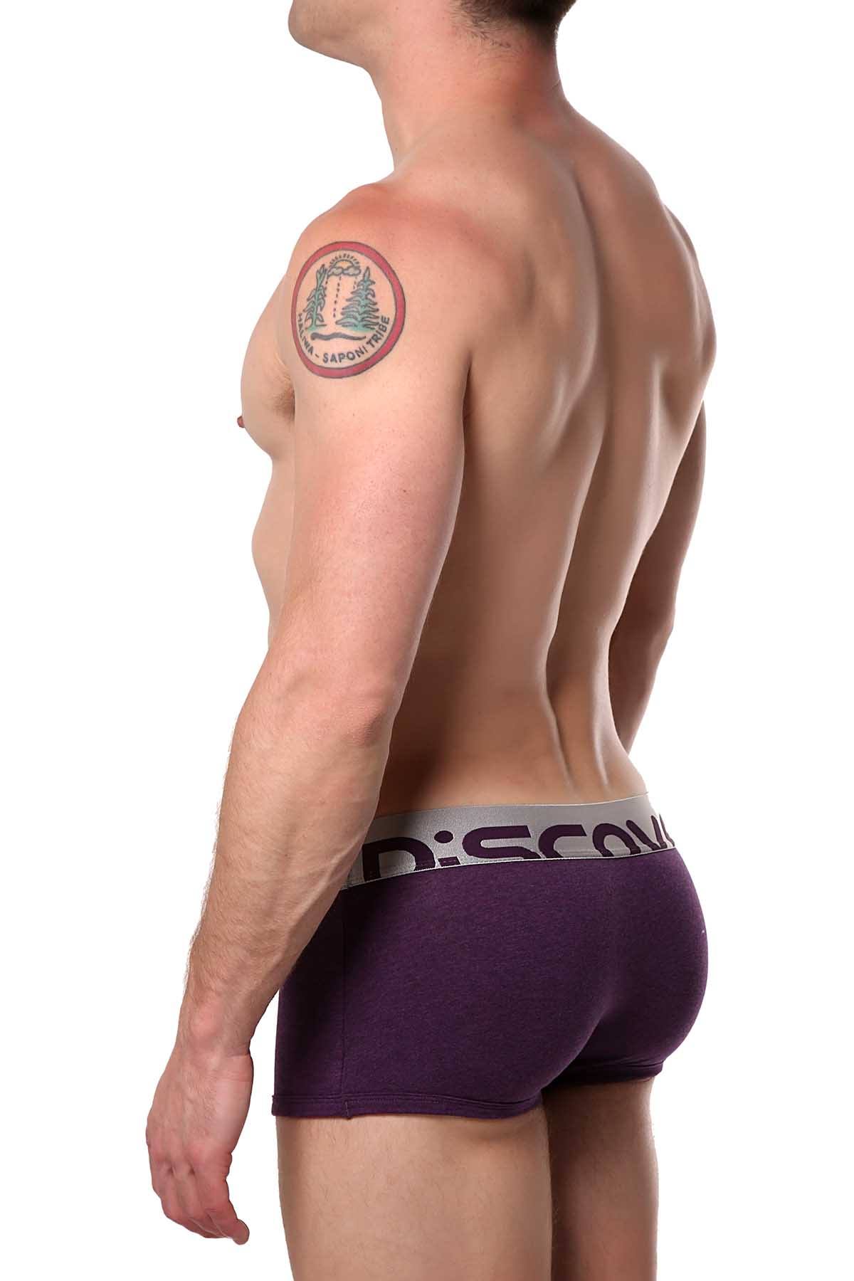 Discover Grape-Purple Silver Trunk