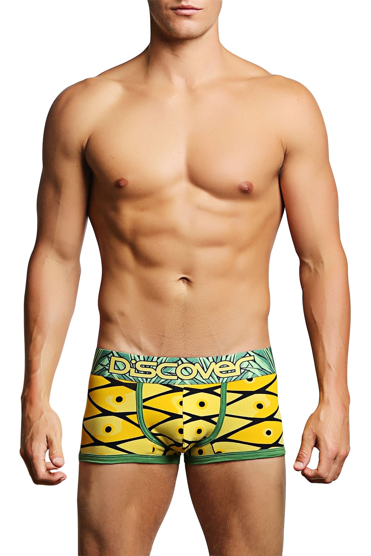 Discover Pineapple Trunk
