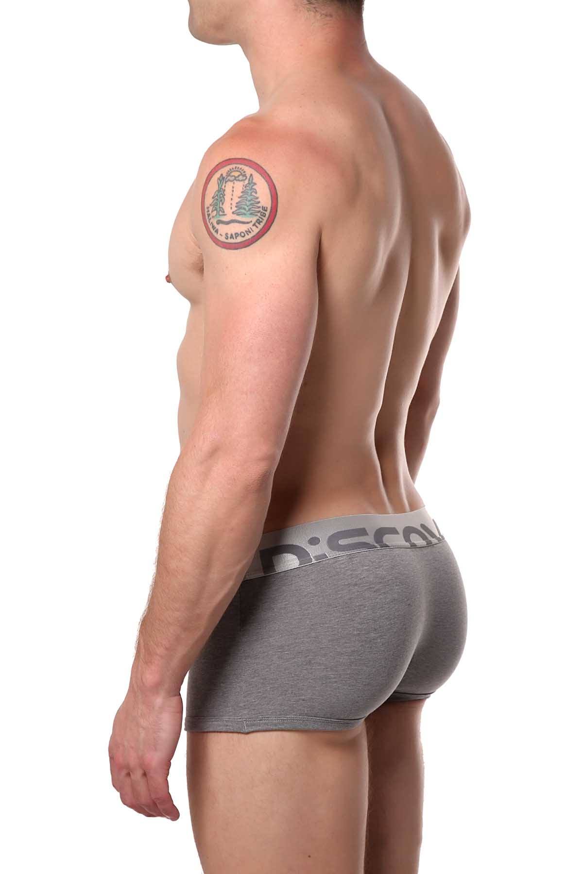 Discover Stone-Grey Silver Trunk
