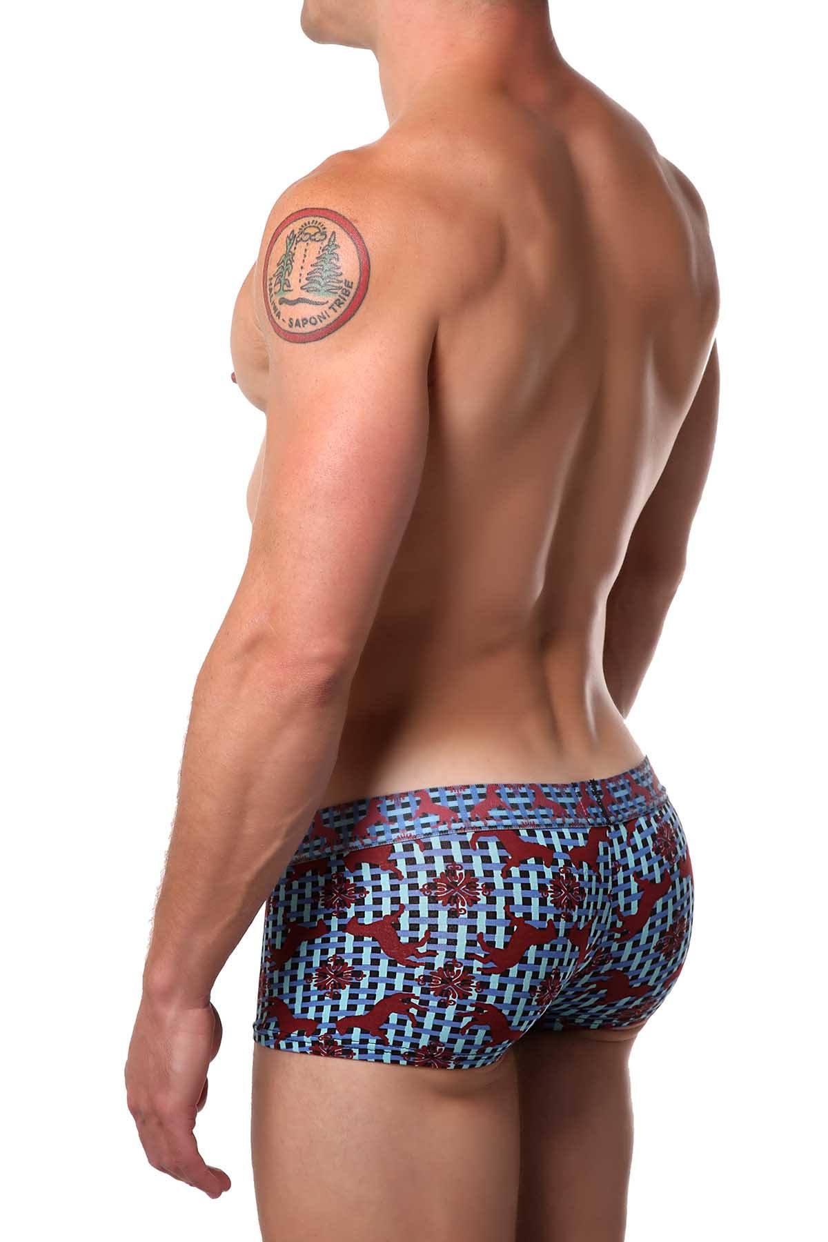 Doreanse Cavalry Printed Trunk