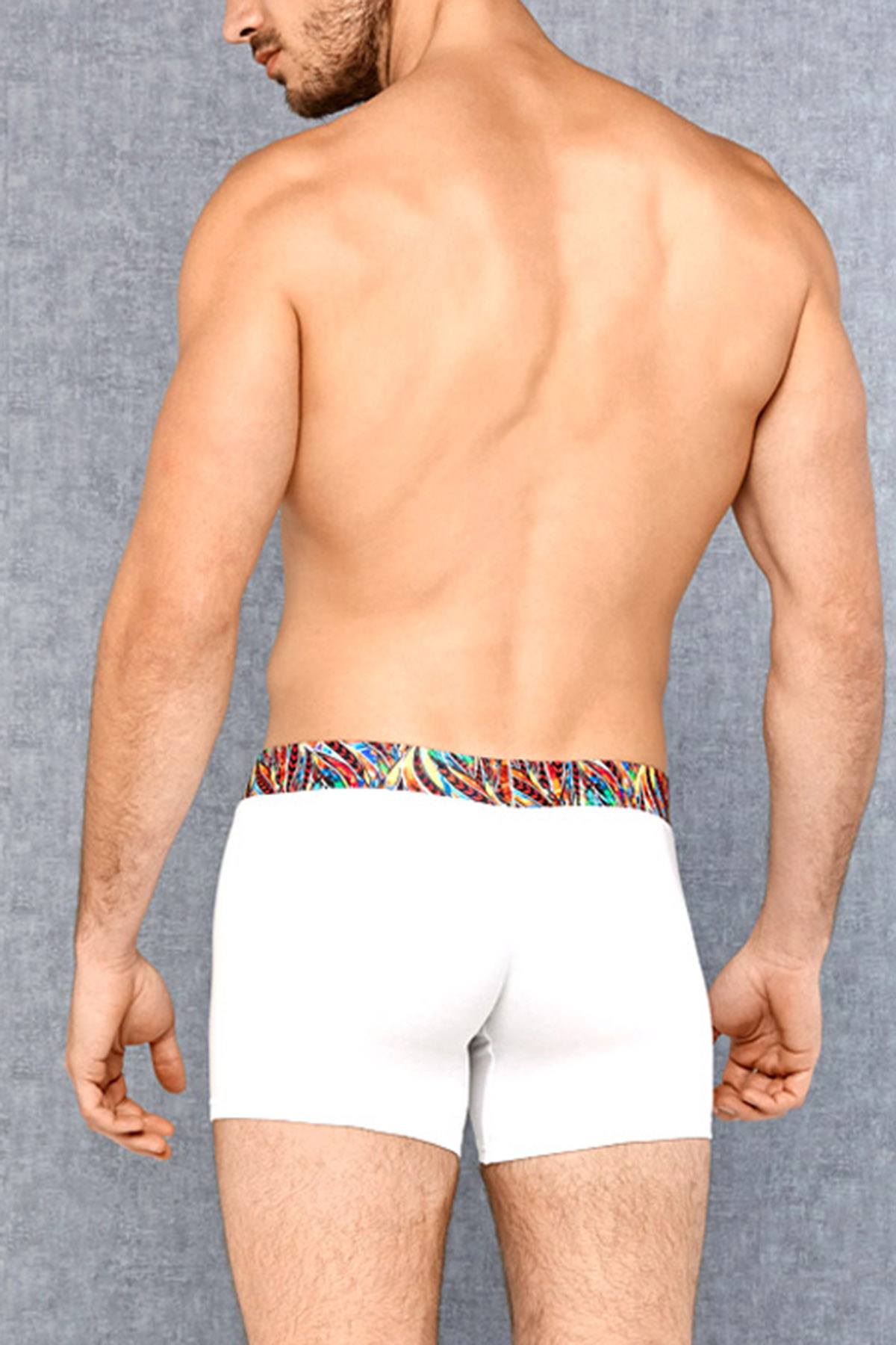 Doreanse Year Of The Rooster Boxer