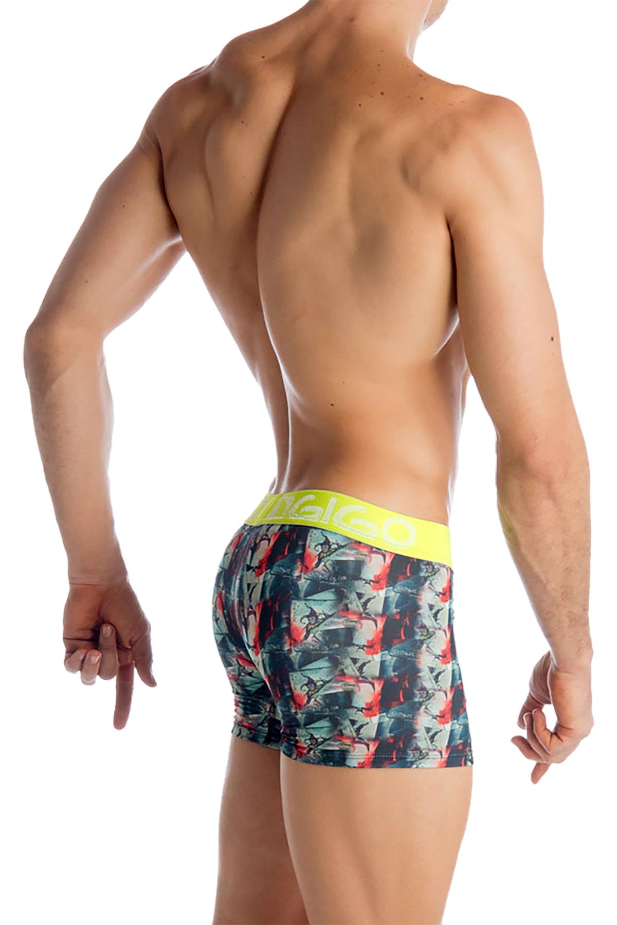 Gigo Jester Long Boxer Brief