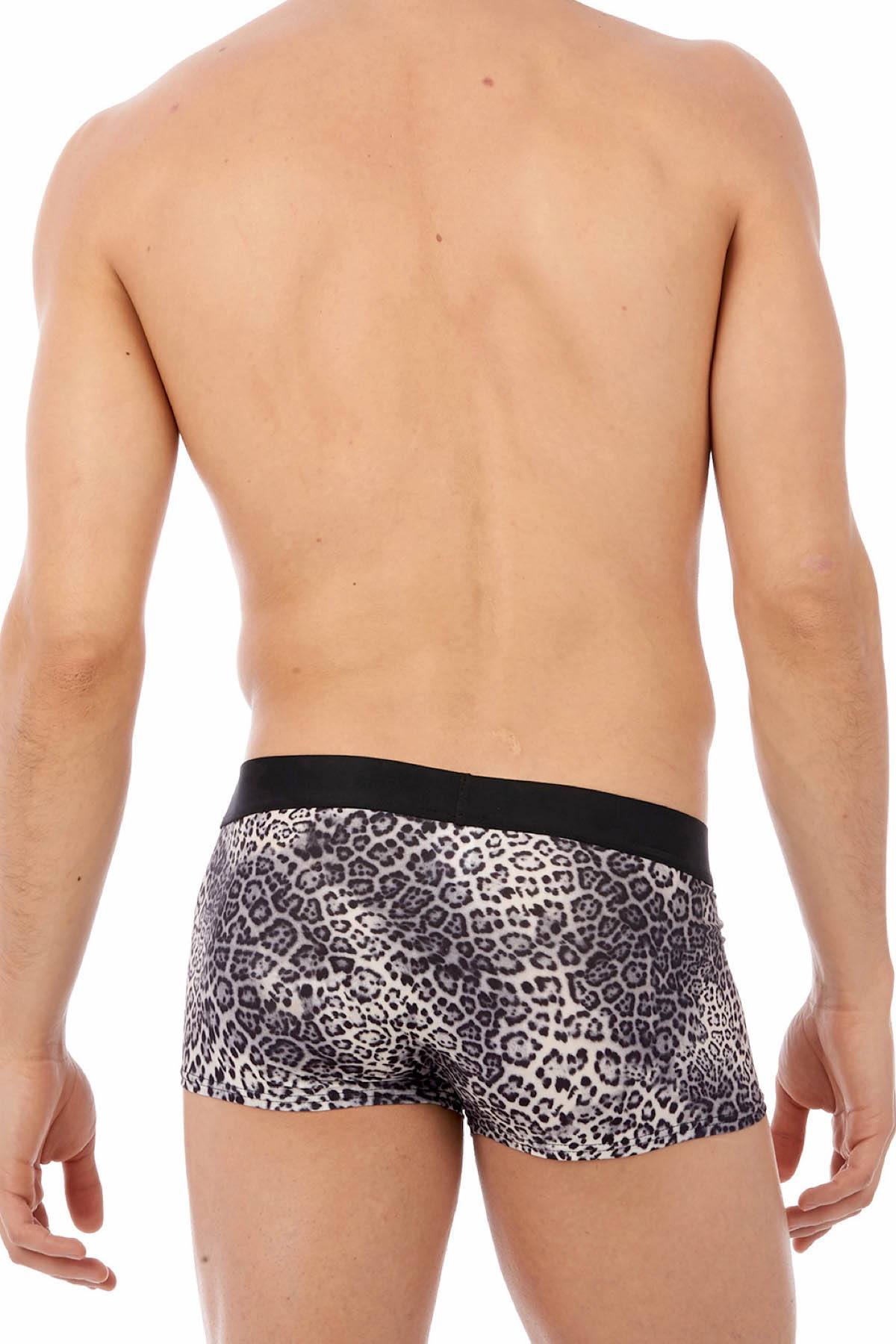 Gregg Homme Grey Desire Boxer Brief