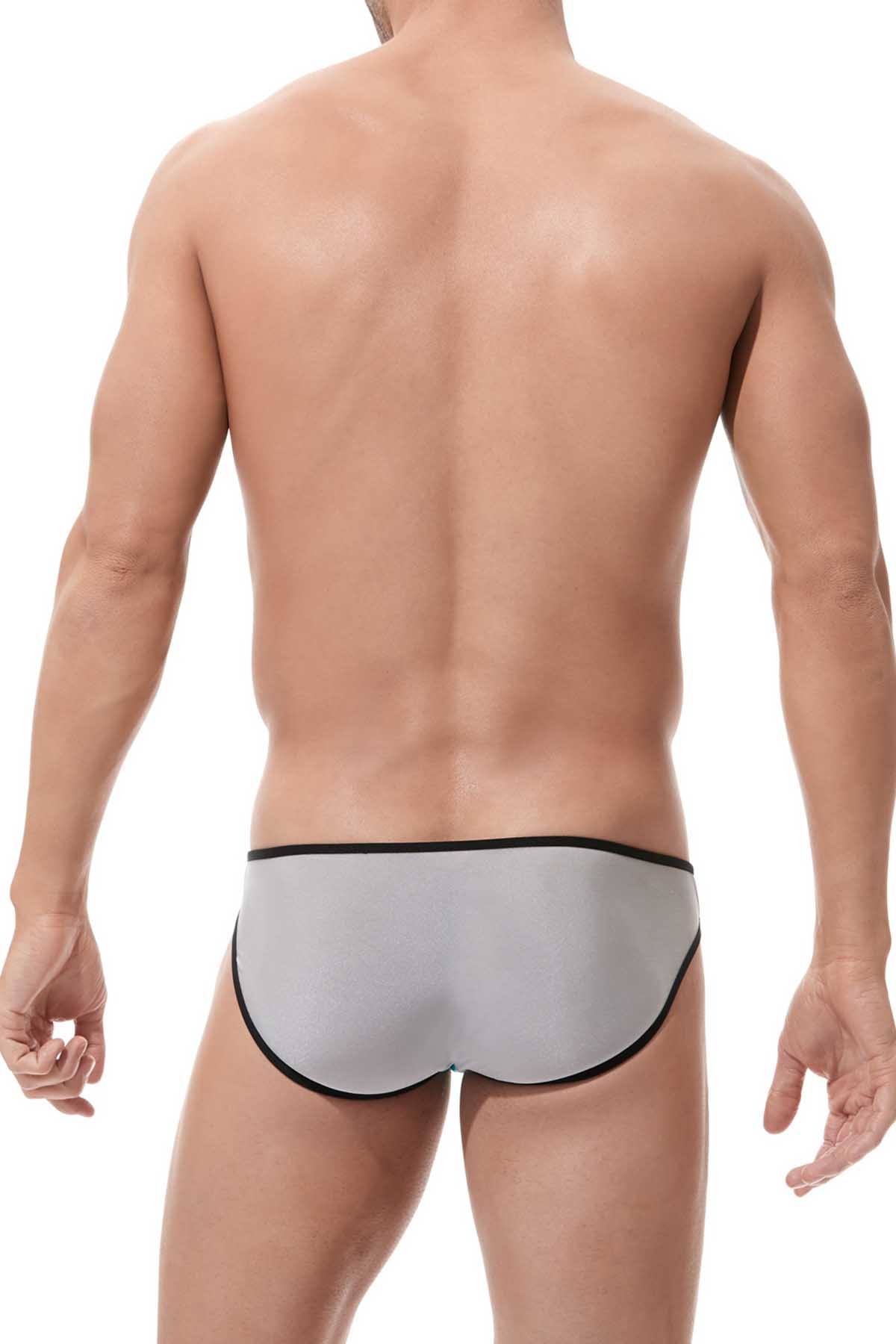 Gregg Homme Silver Super-Ero Brief