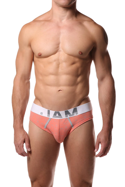 Jam Salmon Grey Brief