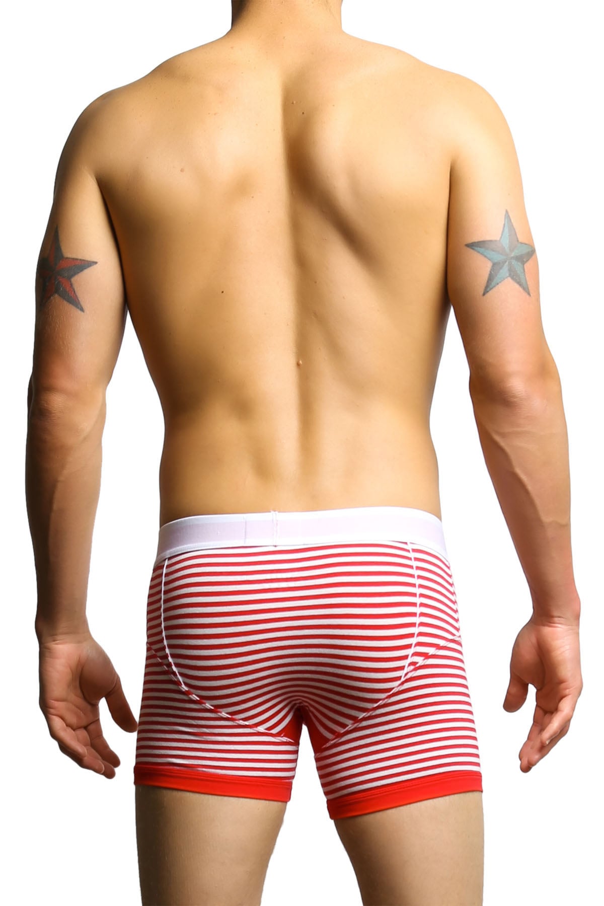 James Tudor Red & White Regal Boxer