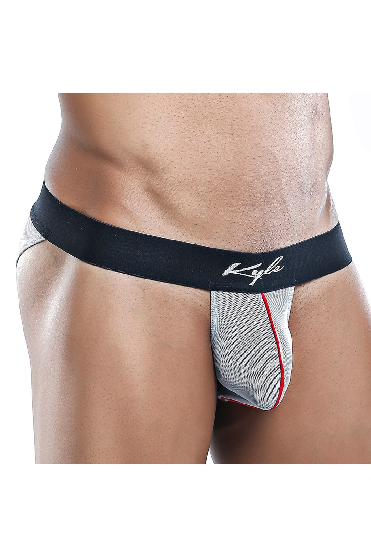 Kyle Grey Sheer Mesh Bikini
