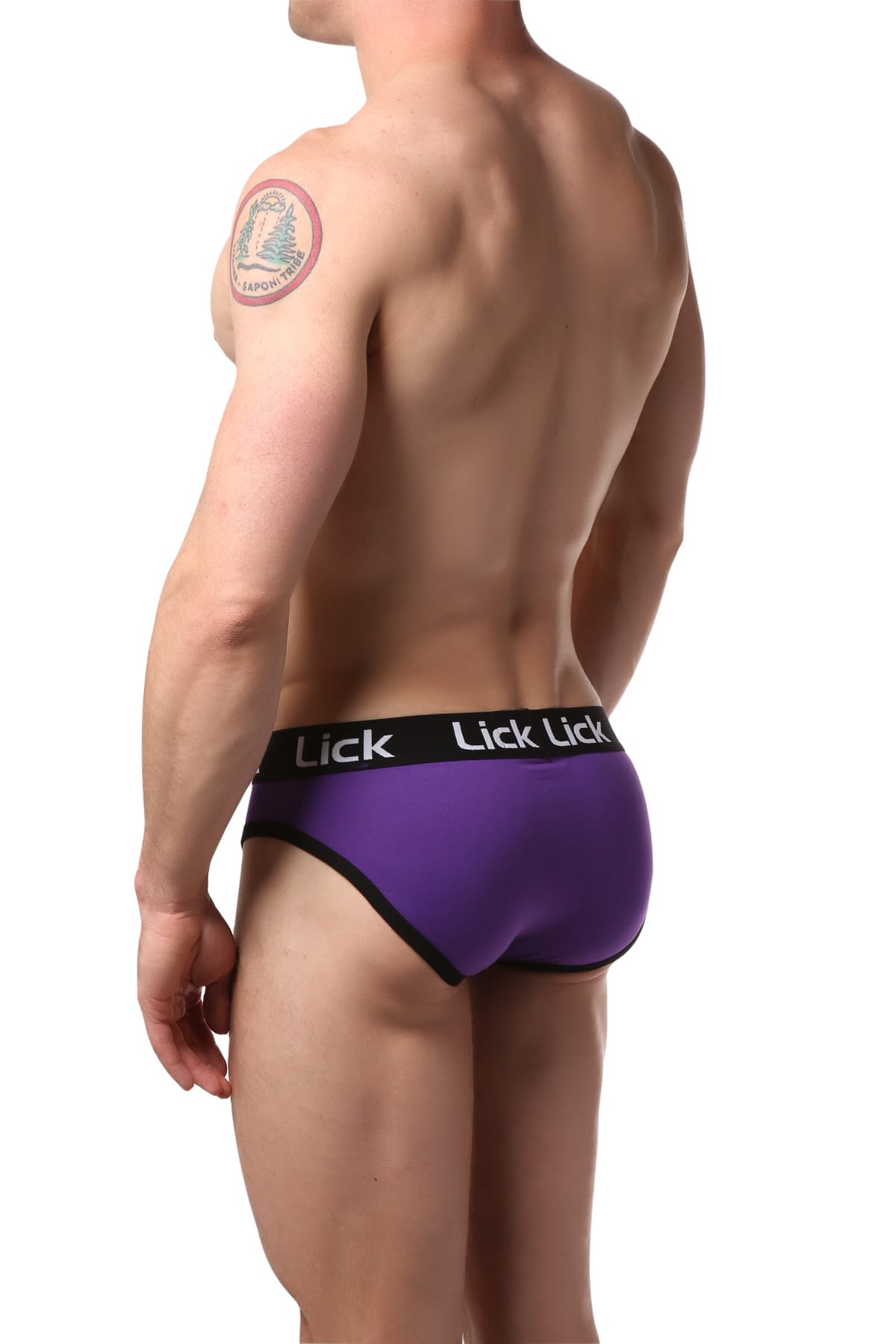 Lick Purple Air Brief