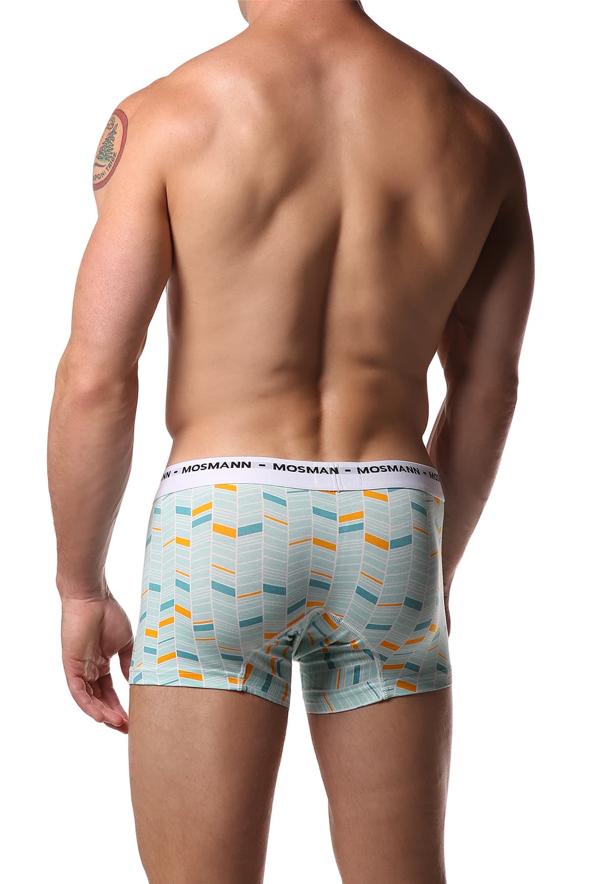 Mosmann Blue & Green Fox Boxer