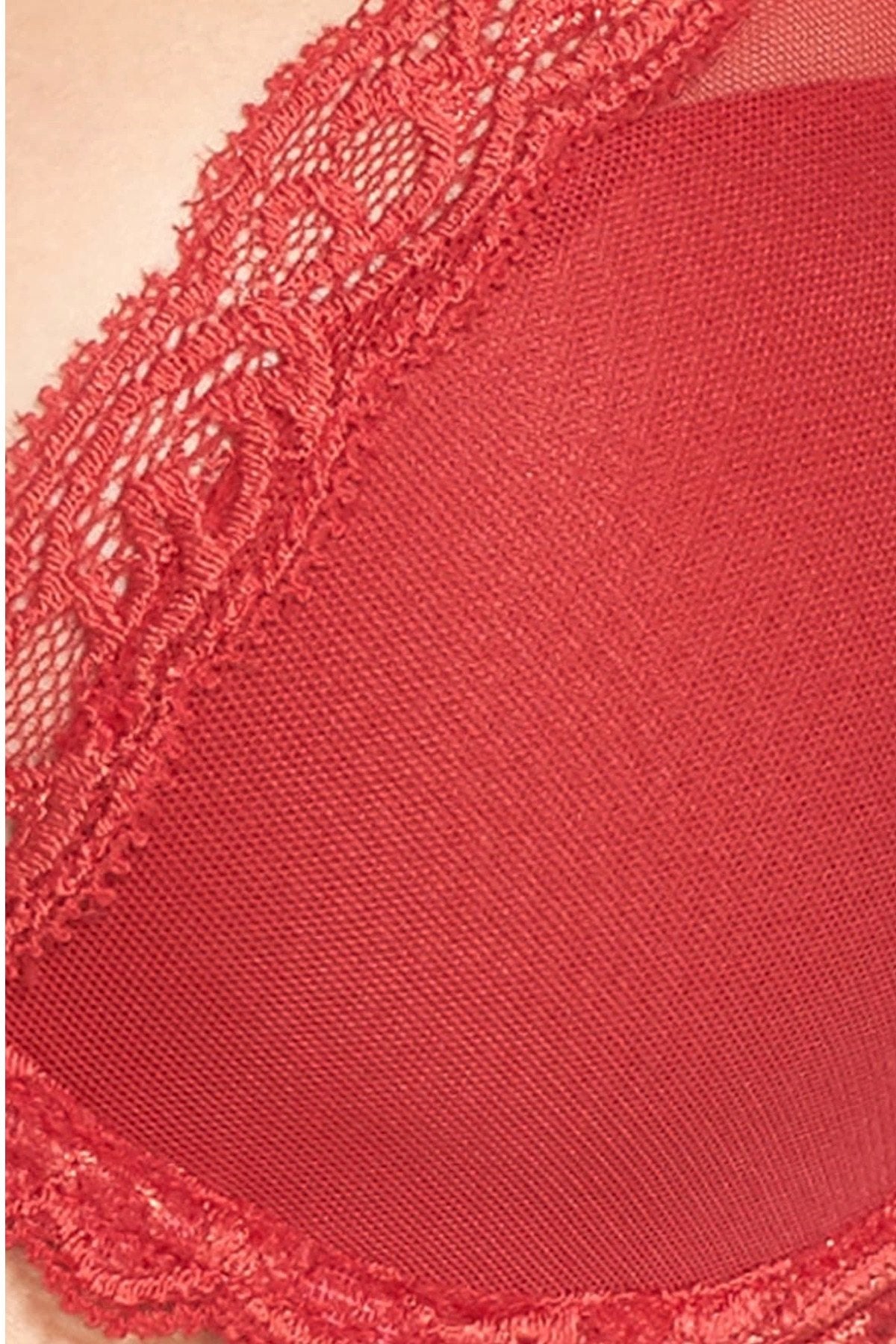 Natori Burnt Red Ravish Feathers Lace Contour Demi Bra