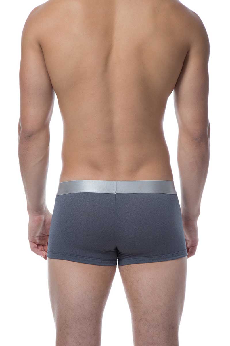 Papi Grey/Platinum Brazilian Trunk