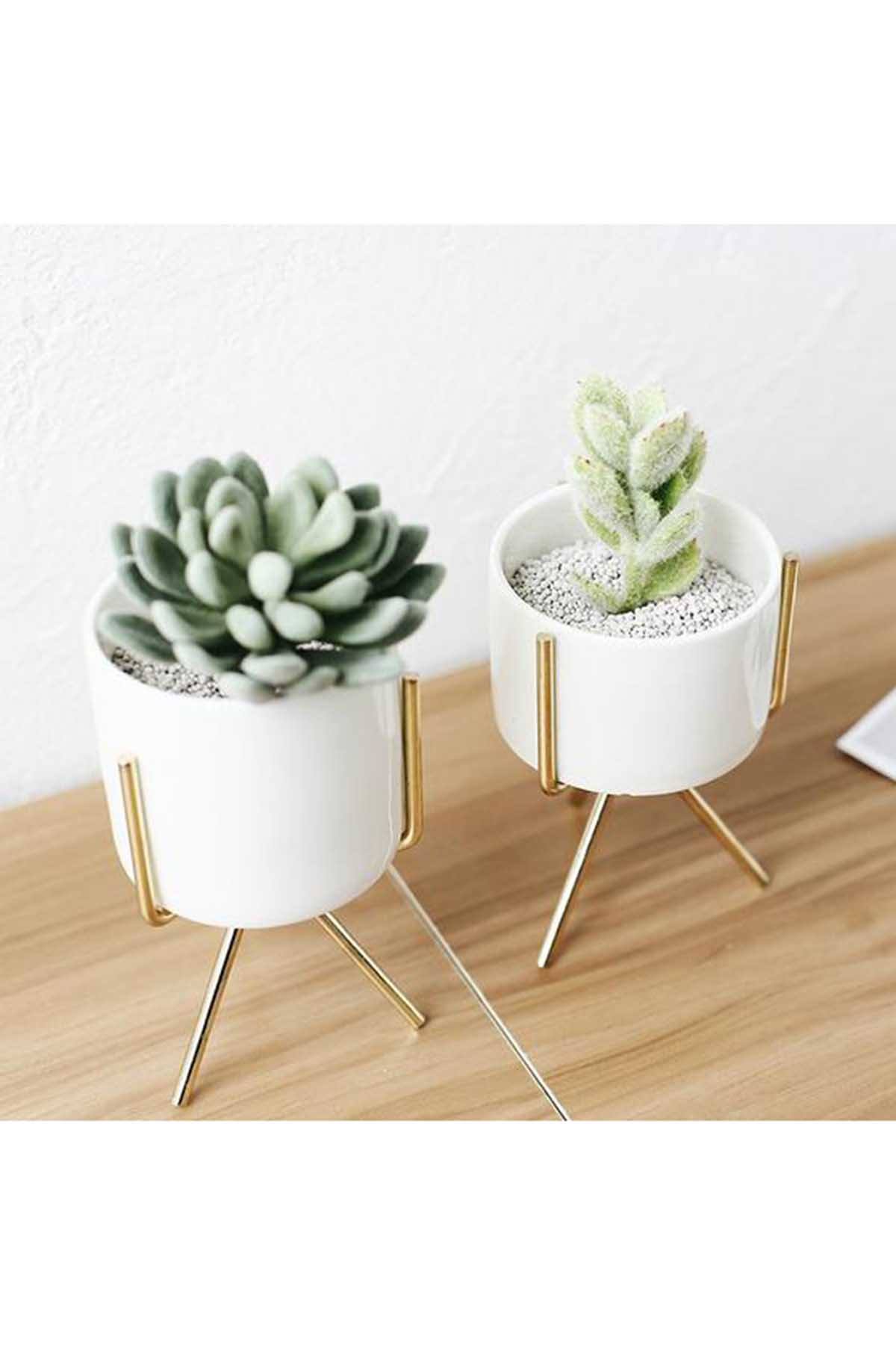 Set of 3 Succulent Planters With Stands