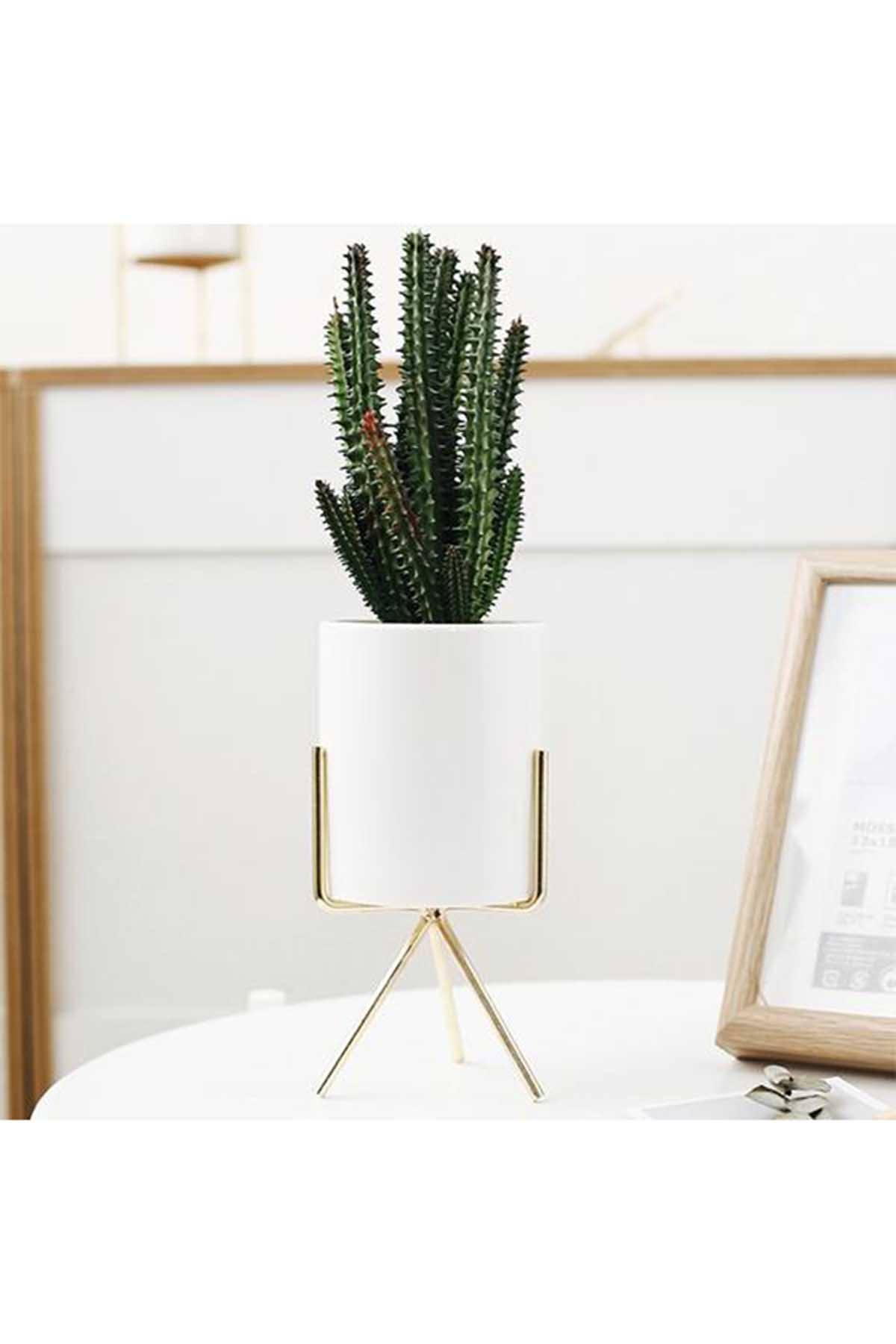 Set of 3 Succulent Planters With Stands