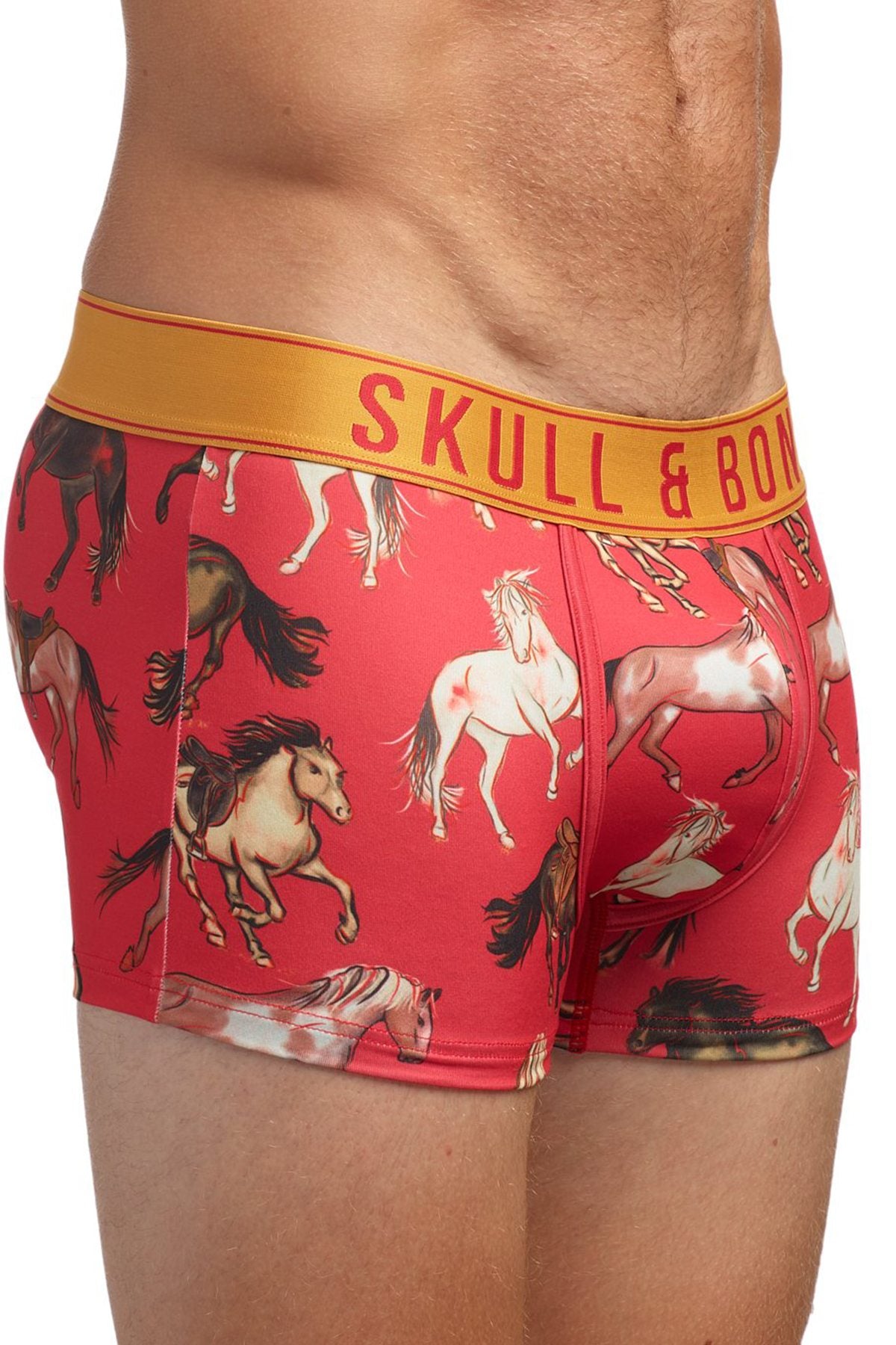 Skull and Bones Stallions Trunk