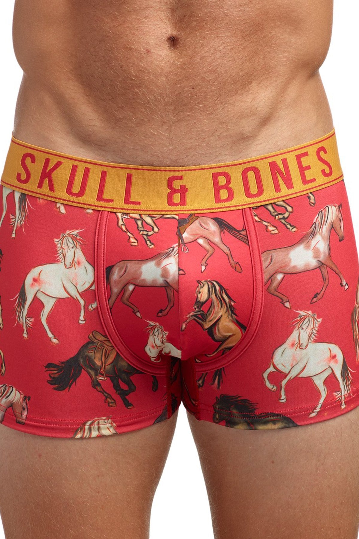 Skull and Bones Stallions Trunk