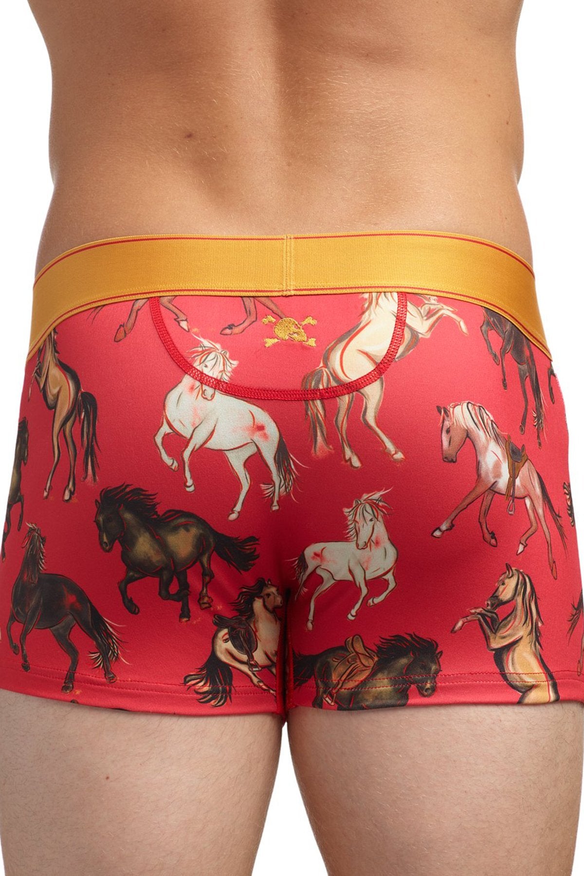 Skull and Bones Stallions Trunk