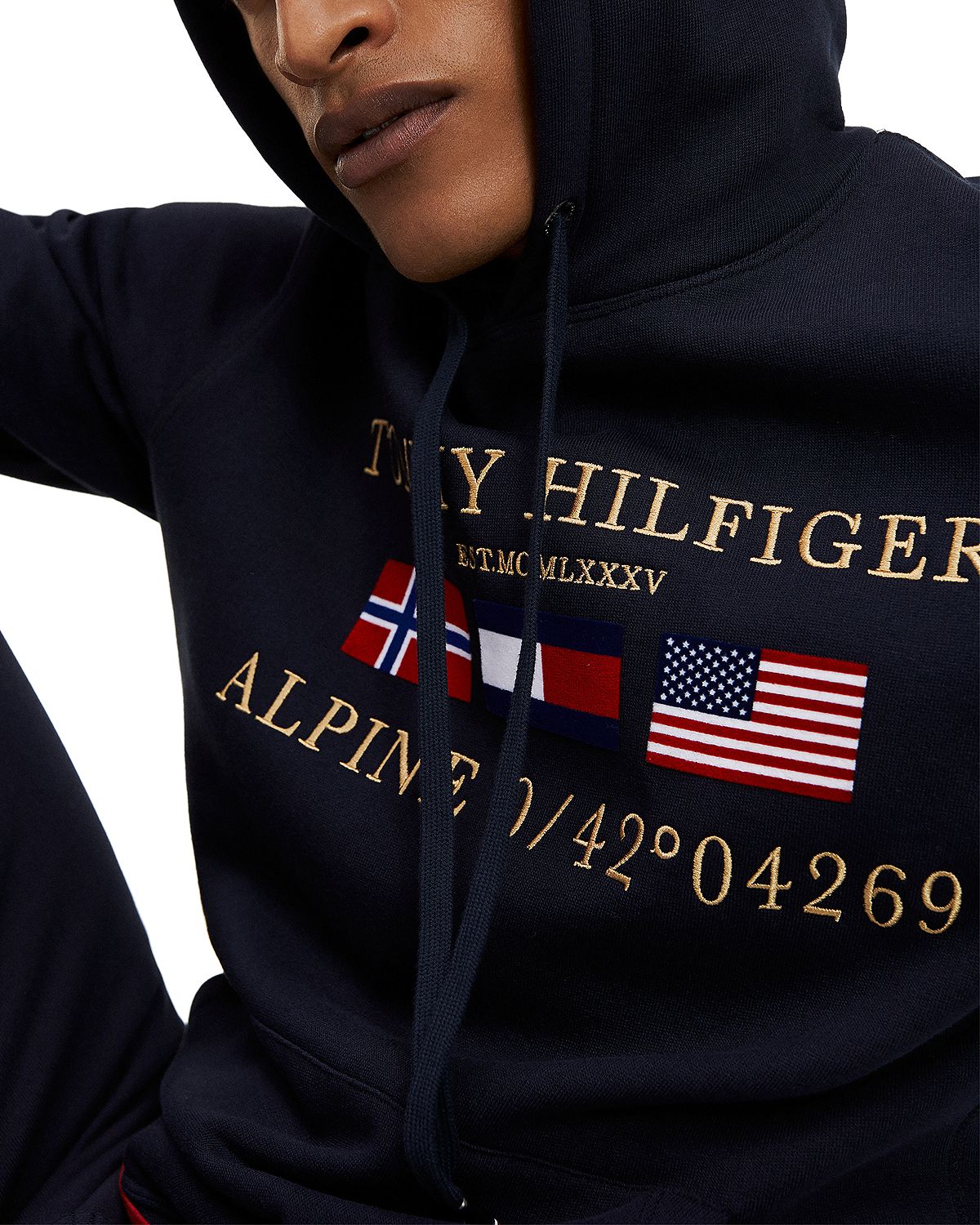 Tommy Hilfiger Multi-flag Graphic Logo Hooded Sweatshirt Desert Sky