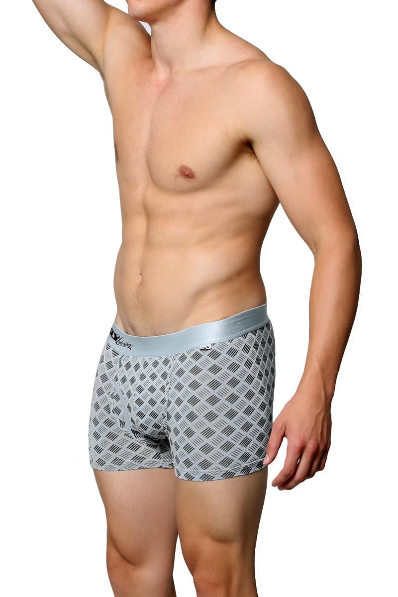 Sly Silver Reel Steel Boxer Brief