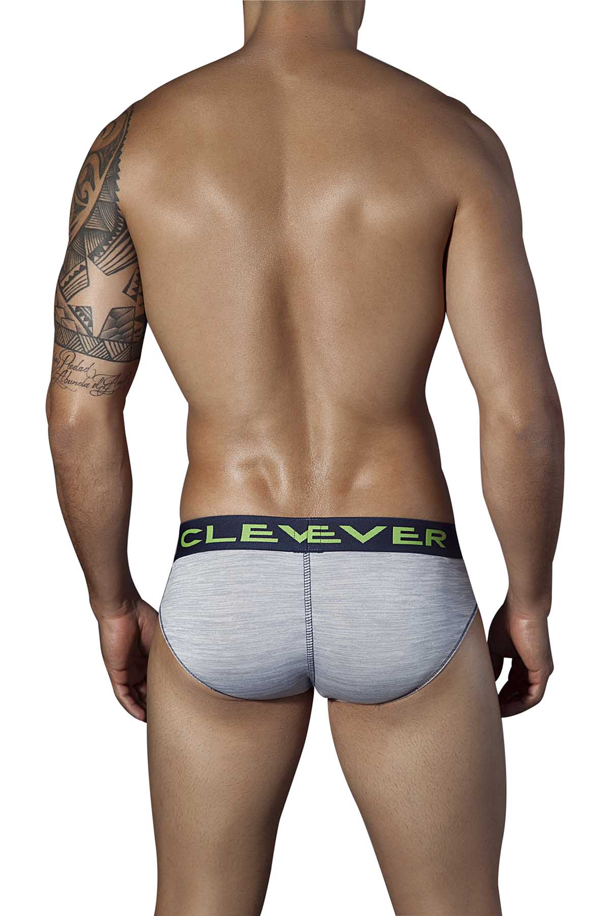 Clever Grey Jasper Latin Brief