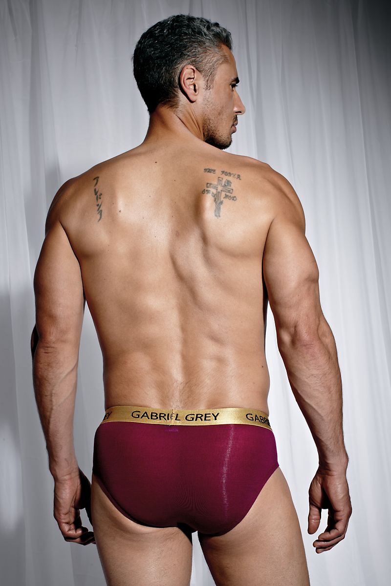 Gabriel Grey Cranberry Skin Brief