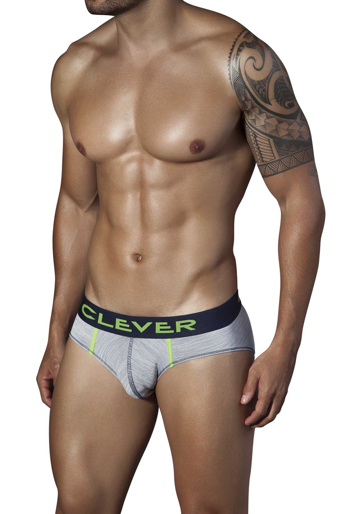 Clever Grey Jasper Latin Brief