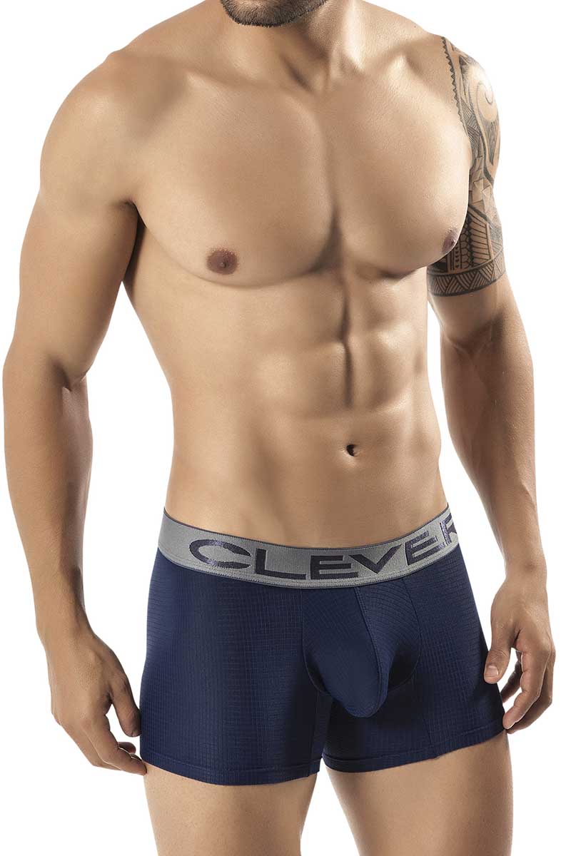 Clever Blue Burdeos Latin Boxer
