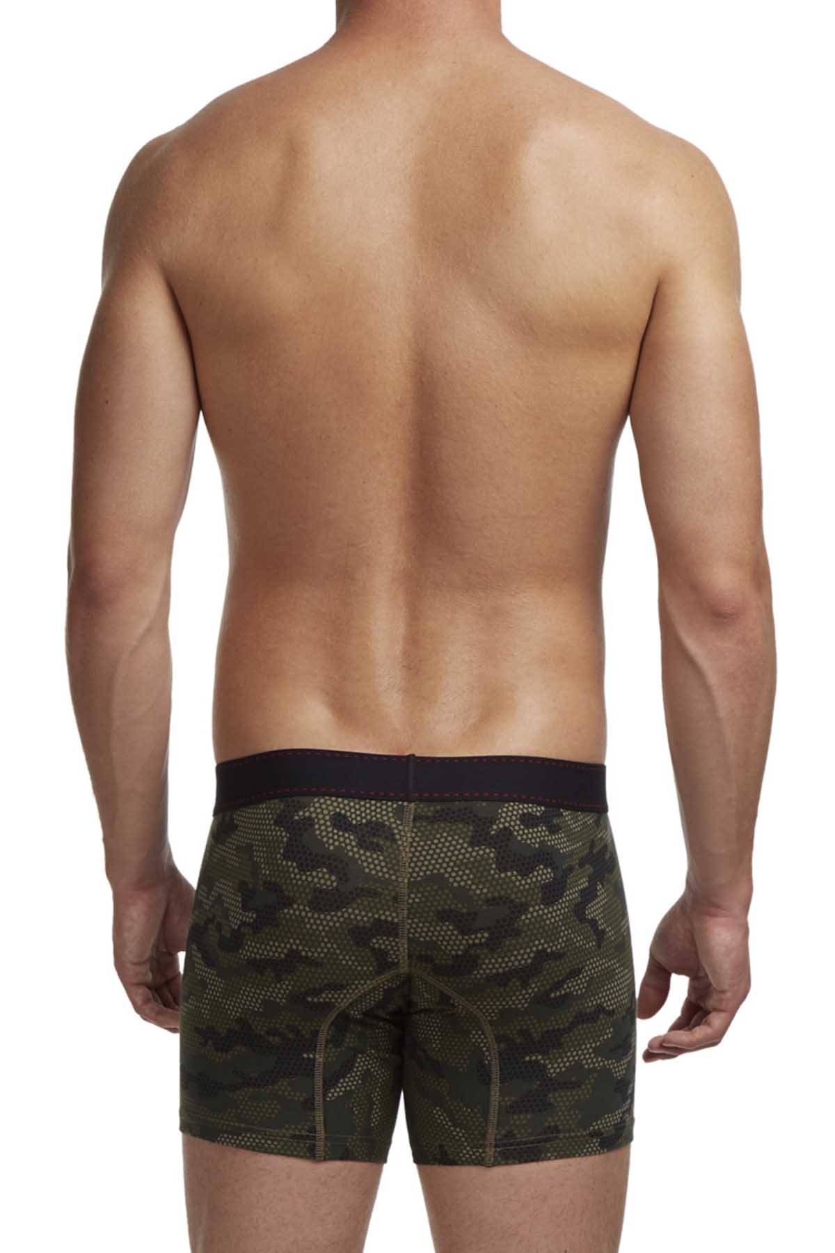 Papi Green Force Brazilian Boxer