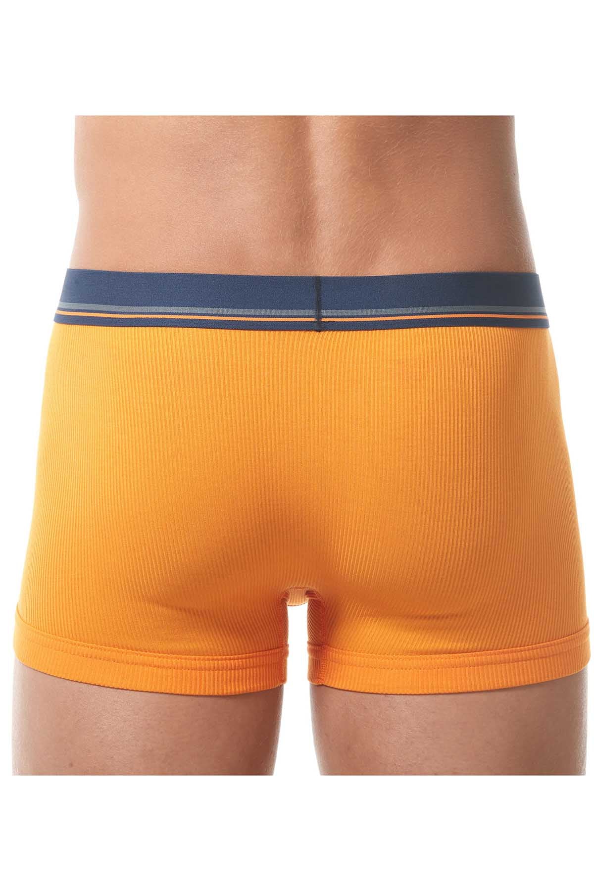 Gregg Homme Orange Sense Trunk