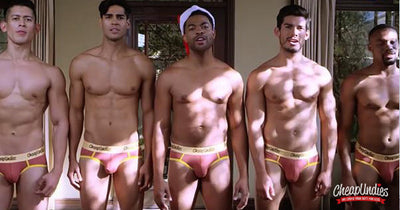 TOP 5 HoliGAY VIDEOS for 2015