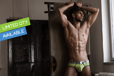 C-IN2 Spectrum Briefs