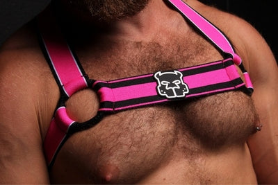 CellBlock13 Scout Harnesses