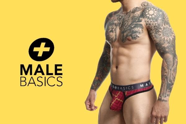 Male Basics Pouch Thongs