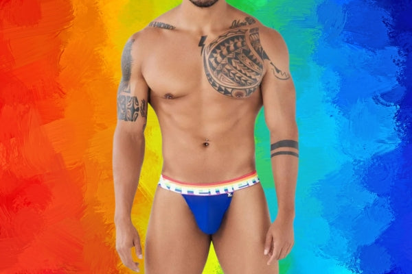 Pride Mesh Bikinis