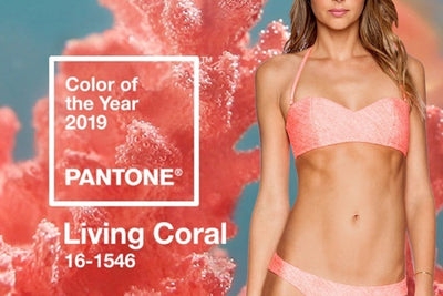 Coral Crazy