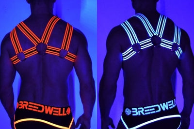 Breedwell Black Light Harnesses