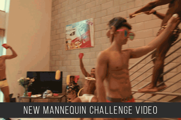 Mannequin Challenge