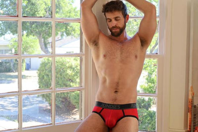 CheapUndies Mesh Briefs