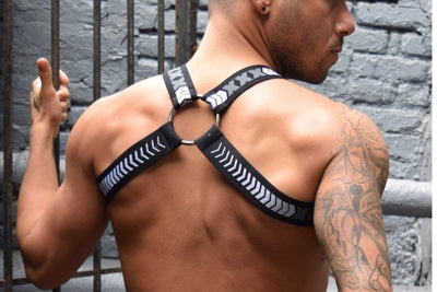 Breedwell Hazard Harness & More