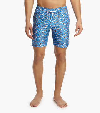 2(X)IST Multi Striped Fish Catalina Swim Short