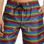 2(X)IST Pride Catalina Swim Short