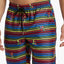2(X)IST Pride Catalina Swim Short