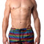 2(x)ist Essential Ibiza Rainbow-print Swim Shorts Love Stripe