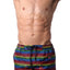 2(x)ist Essential Ibiza Rainbow-print Swim Shorts Love Stripe