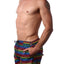 2(x)ist Essential Ibiza Rainbow-print Swim Shorts Love Stripe