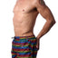 2(x)ist Essential Ibiza Rainbow-print Swim Shorts Love Stripe