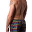 2(x)ist Essential Ibiza Rainbow-print Swim Shorts Love Stripe