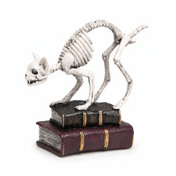 7-Inch Skeleton Cat with Books Tabletop Decor thumbnail 1
