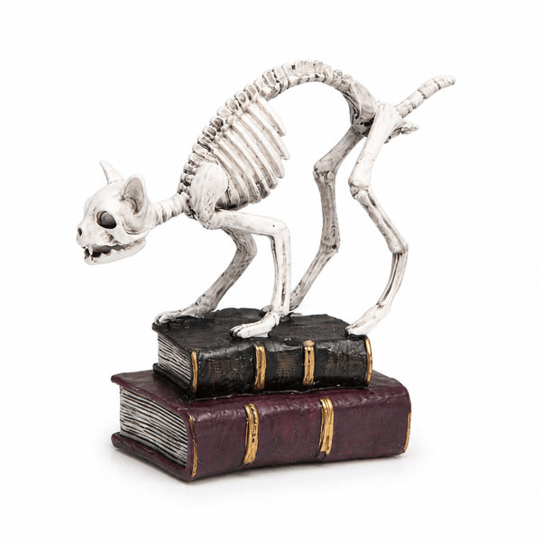 7-Inch Skeleton Cat with Books Tabletop Decor