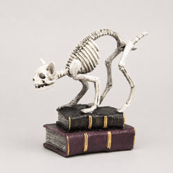 7-Inch Skeleton Cat with Books Tabletop Decor thumbnail 2